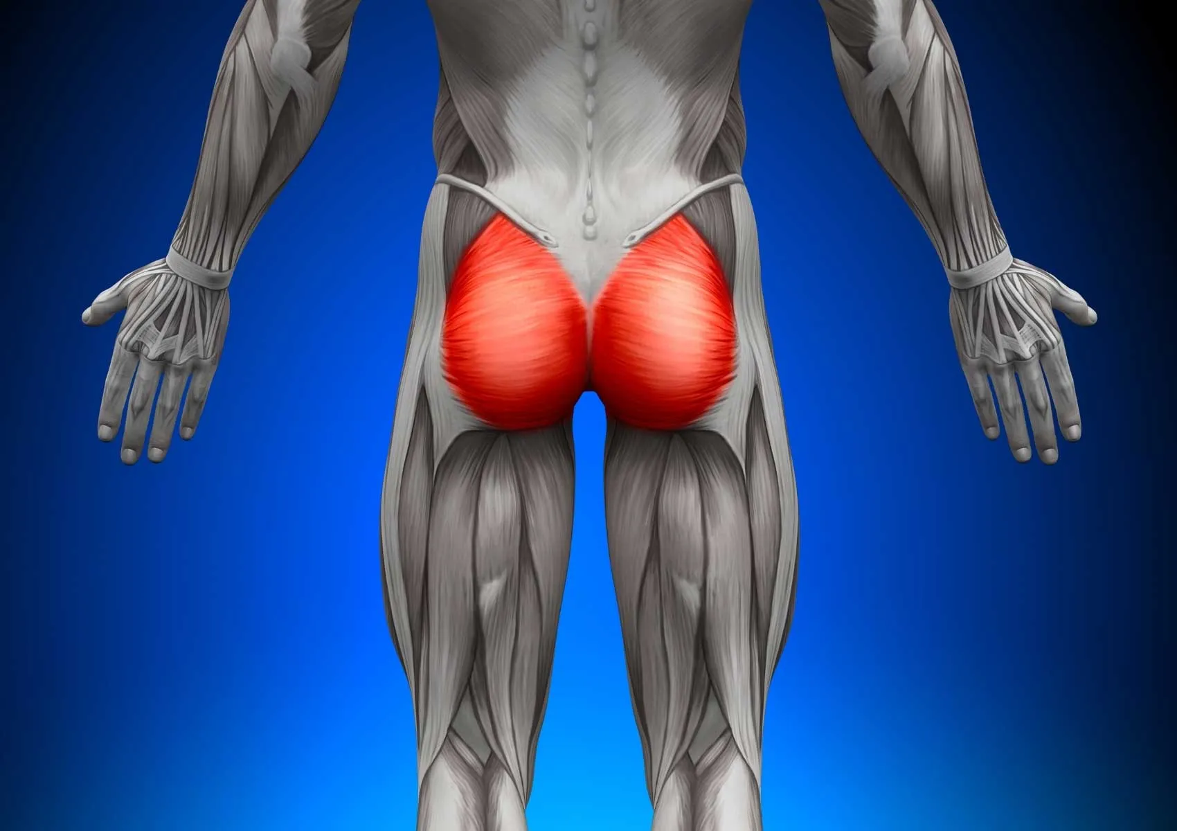Gluteus Medius Tear: Don’t Lose Hip Strength