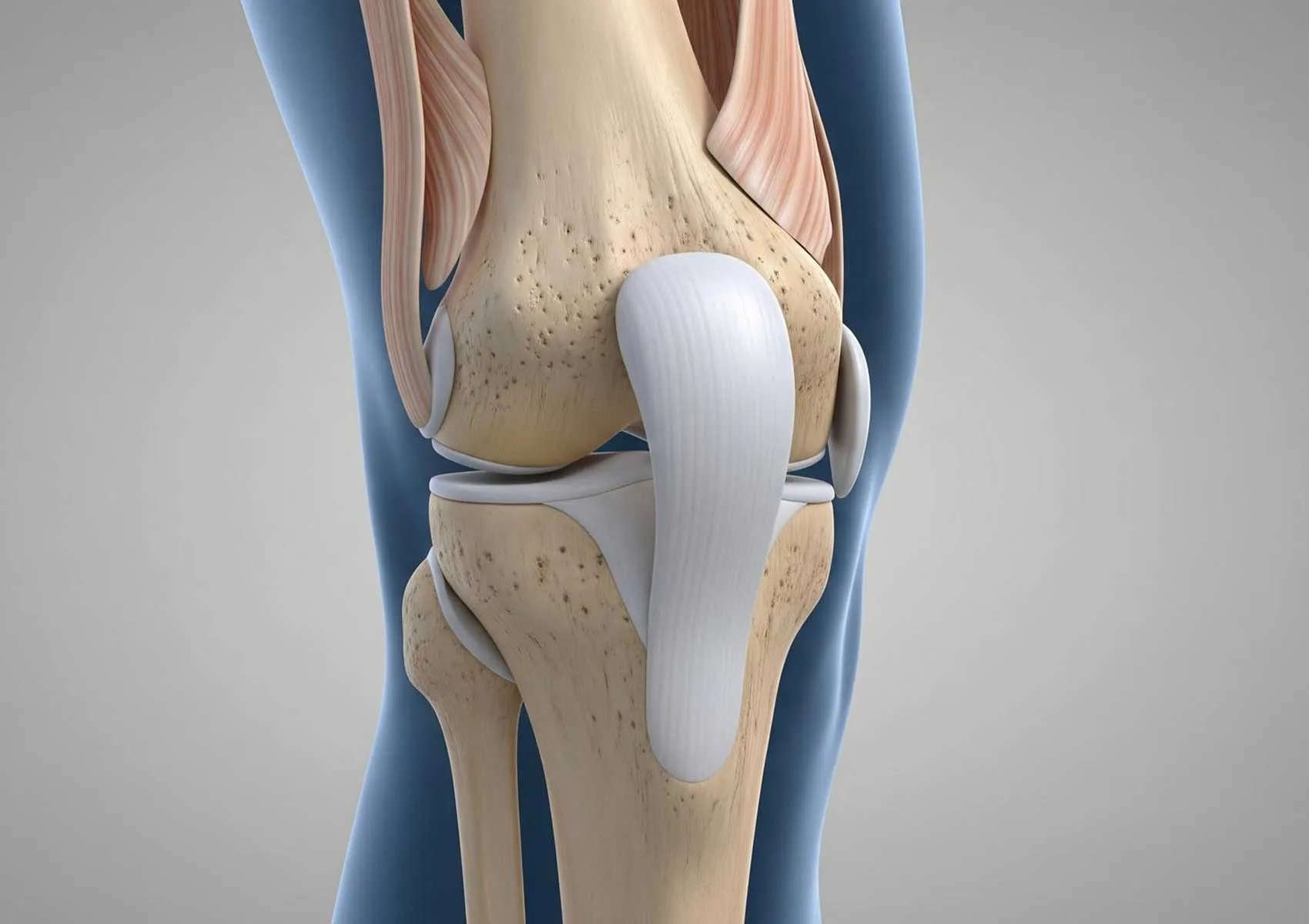 Ön Çapraz Bağ Ameliyatı Sonrası Spora Dönüş Rehberi